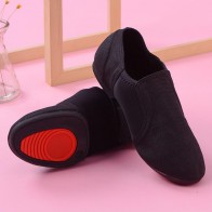 Elastic Fabric Slip-On Low-Heel Adult Jazz Dance Shoes